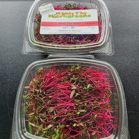 Picture of packaged microgreens with bright red/purple stems.