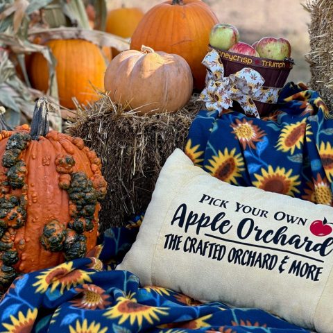 Picture of a fall display featuring pumpkins, gourds, hay bales, a sunflower blanket, an "Apple Orchard" pillow, and two buckets of apples labeled "Honeycrisp" and "Triumph."