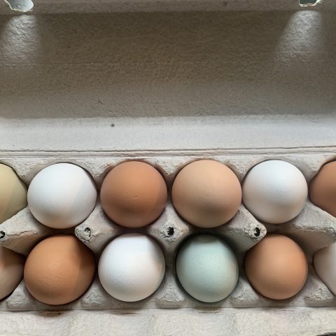 A carton of multi-colored eggs.