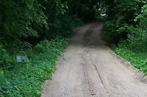 Picture of a dirt driveway with green grass and foliage along both sides.