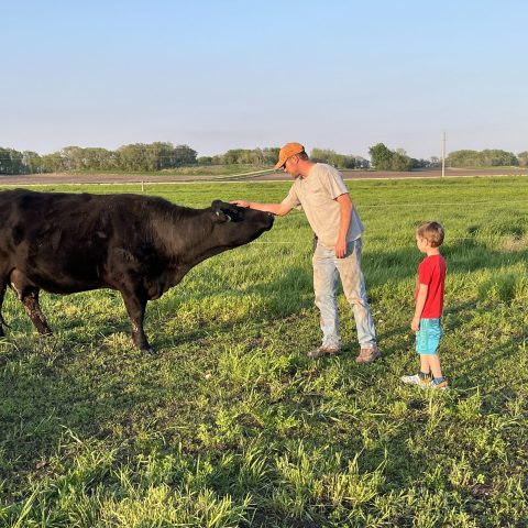 A man pets a black cow in a green field with a young boy standing beside him.