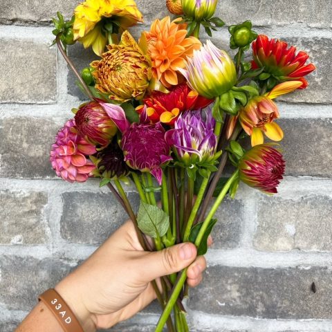 A hand holding a bouquet of cream, orange, red, yellow, and pink flowers.