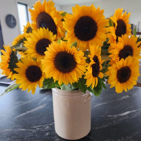 Picture of a white vase filled with a bunch of large, yellow sunflowers.