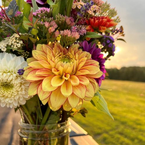 A bouquet of flowers including cream and yellow dahias. The Vase is sitting on the back of a pick-up truck with a beautiful field in the background.