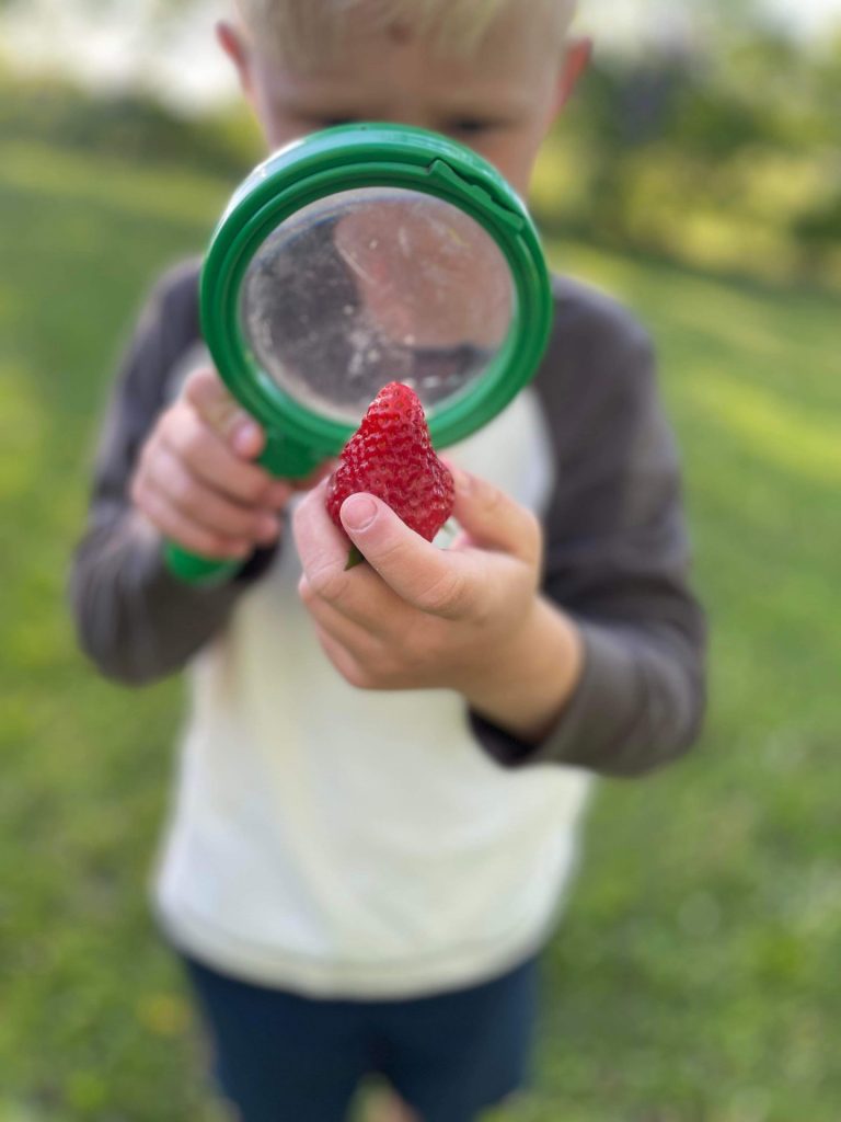 A child looking at a strawberry through a magnifying glass.