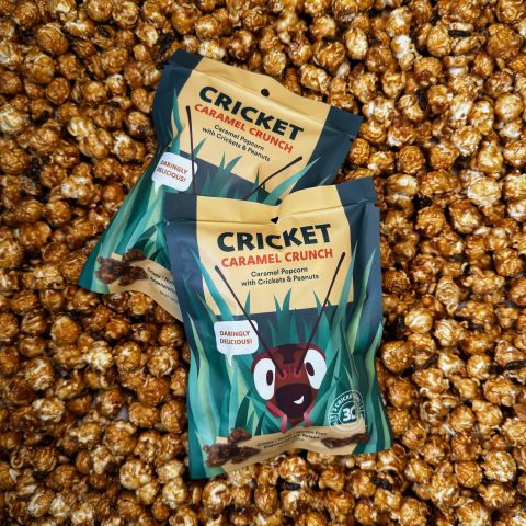 Cricket Caramel Crunch