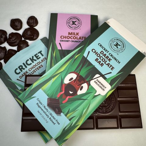 Cricket Crunch Chocolate Bars