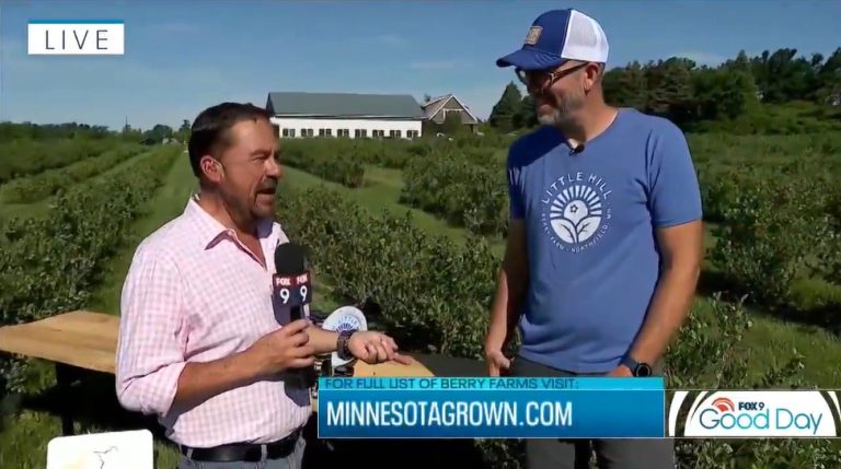 A reporter interviewing a berry farmer in a blueberry field.