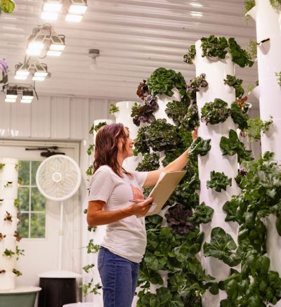 A woman picking a leafy green from one of the white poles.