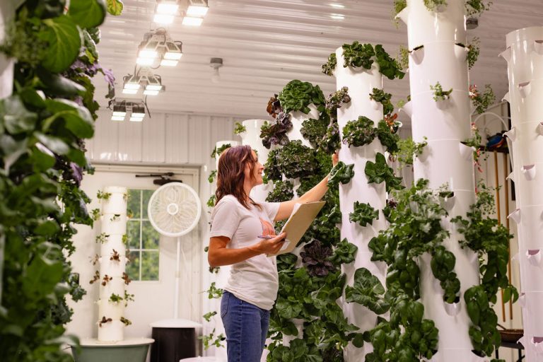 A woman picking a leafy green from one of the white poles.
