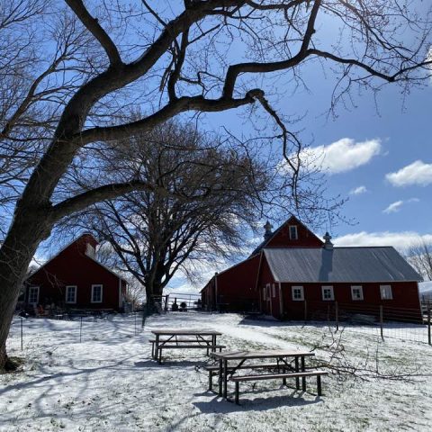 Picture of a red barn in the daylight in the snow.