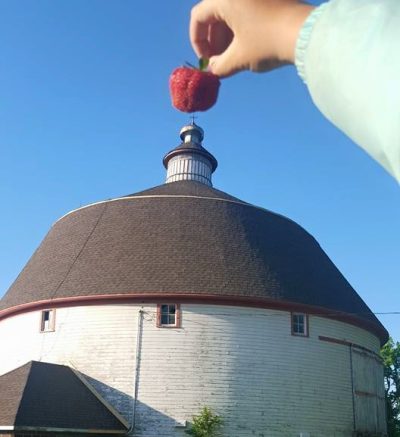 A round white bar. A hand is holding a strawberry so it looks like the berry is on top of the barn.