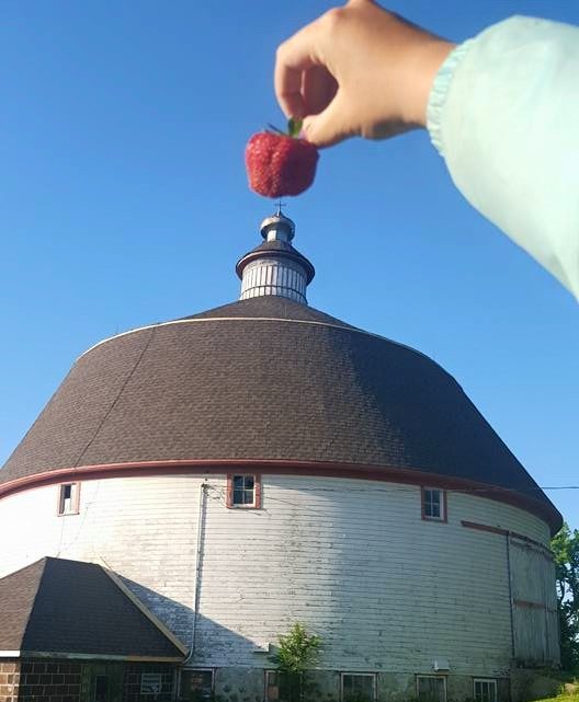 A round white bar. A hand is holding a strawberry so it looks like the berry is on top of the barn.