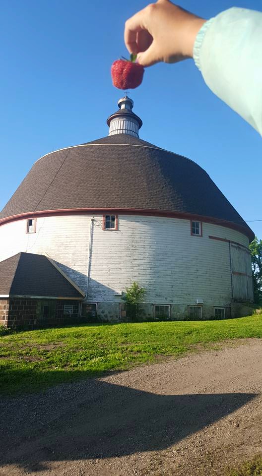 A round white bar. A hand is holding a strawberry so it looks like the berry is on top of the barn.