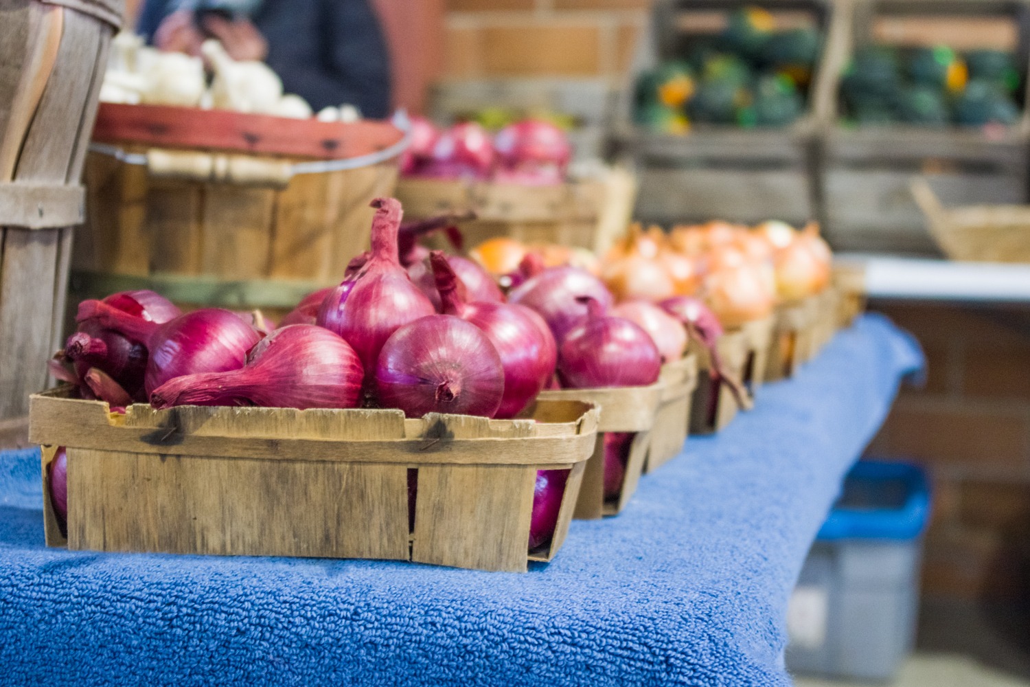 A row of wood crates filled with onions. A crate with red onions is focused in the foreground and the background blurs with other crates of yellow and red onions.