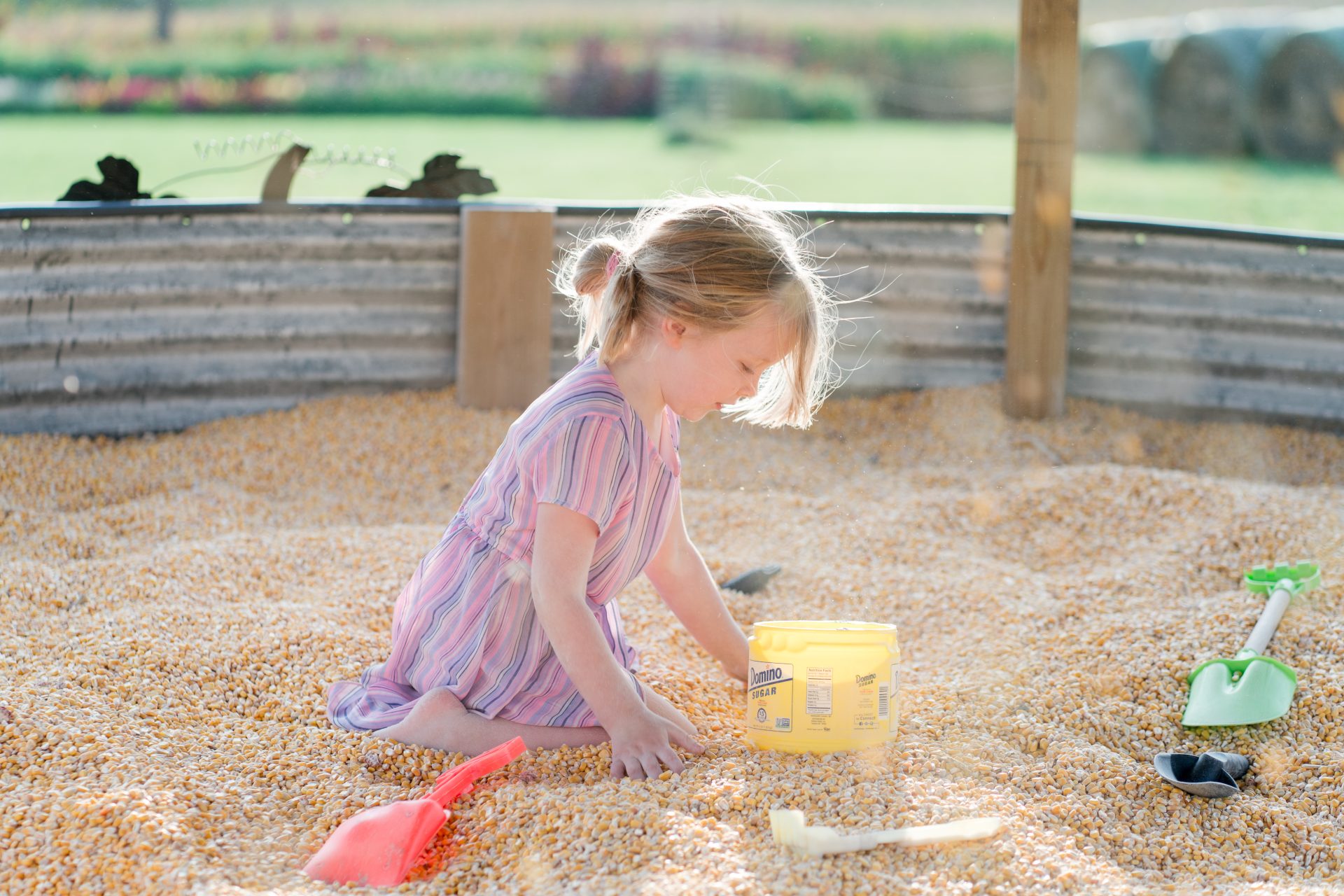 A girl playing in a corn pit at a farm.