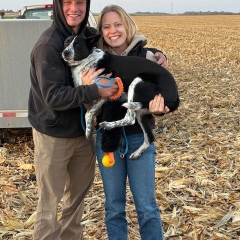 a young mand and woman smile in a field folding a black and white dog