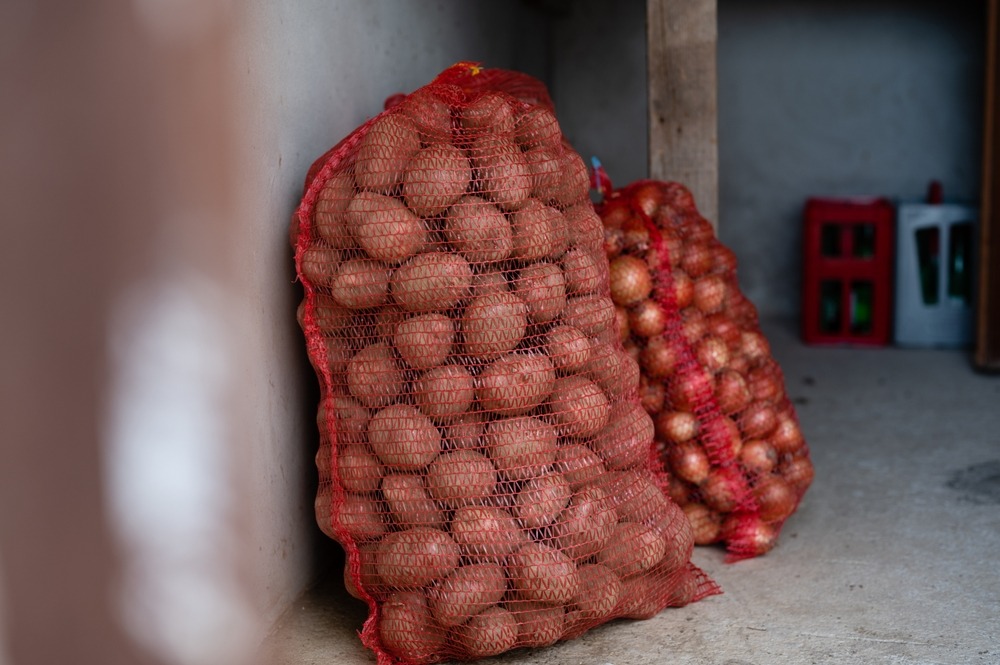 Store,Raw,Potatoes,And,Onions,In,Basement,For,Winter,,Packed