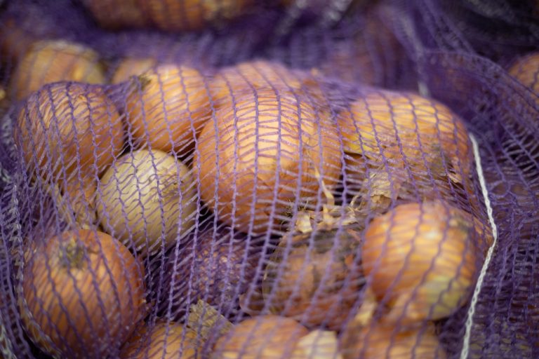 Onions in mesh bag for long-term storage