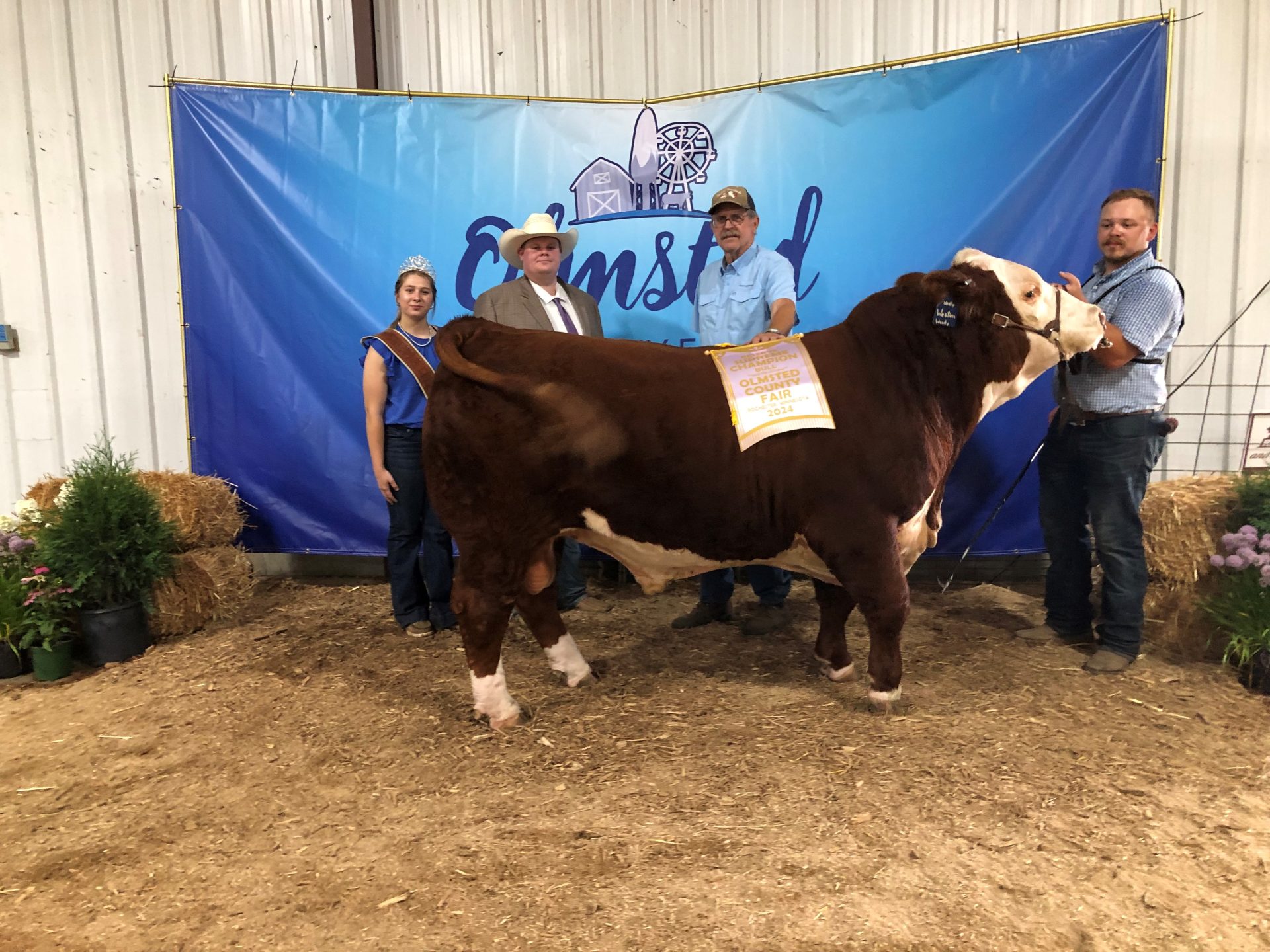 A family standing with an award winning Hereford cow.