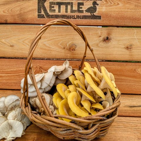 basket of yellow and white mushrooms on wooden surface