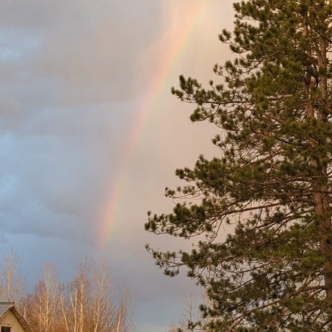 rainbow over farm field