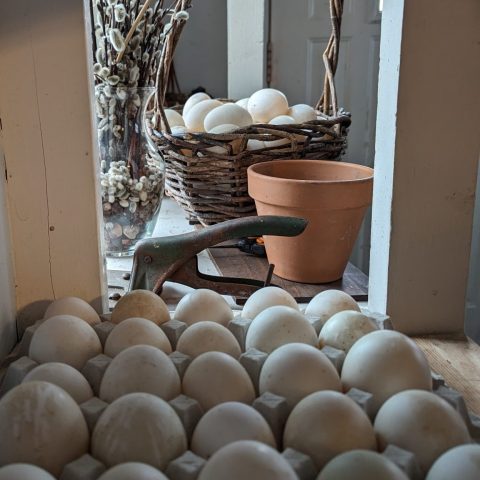 eggs in a carton in the foreground and a basket of eggs in the background