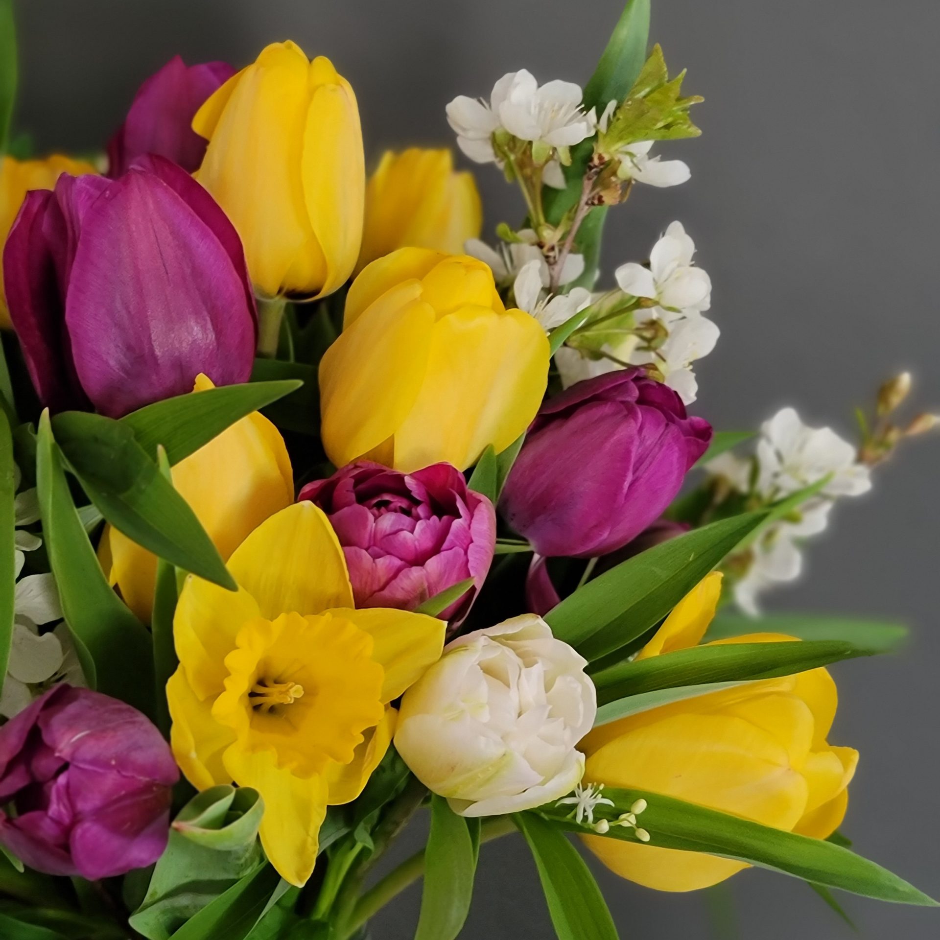 Picture of a bouquet of flowers including yellow, white, and purple tulips