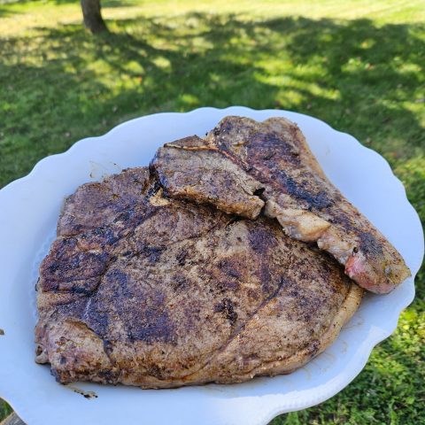 Picture of a white plate of grilled, seasoned meat.