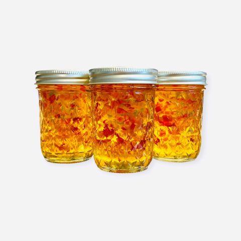 Picture of three jars of pepper jelly against a white background.