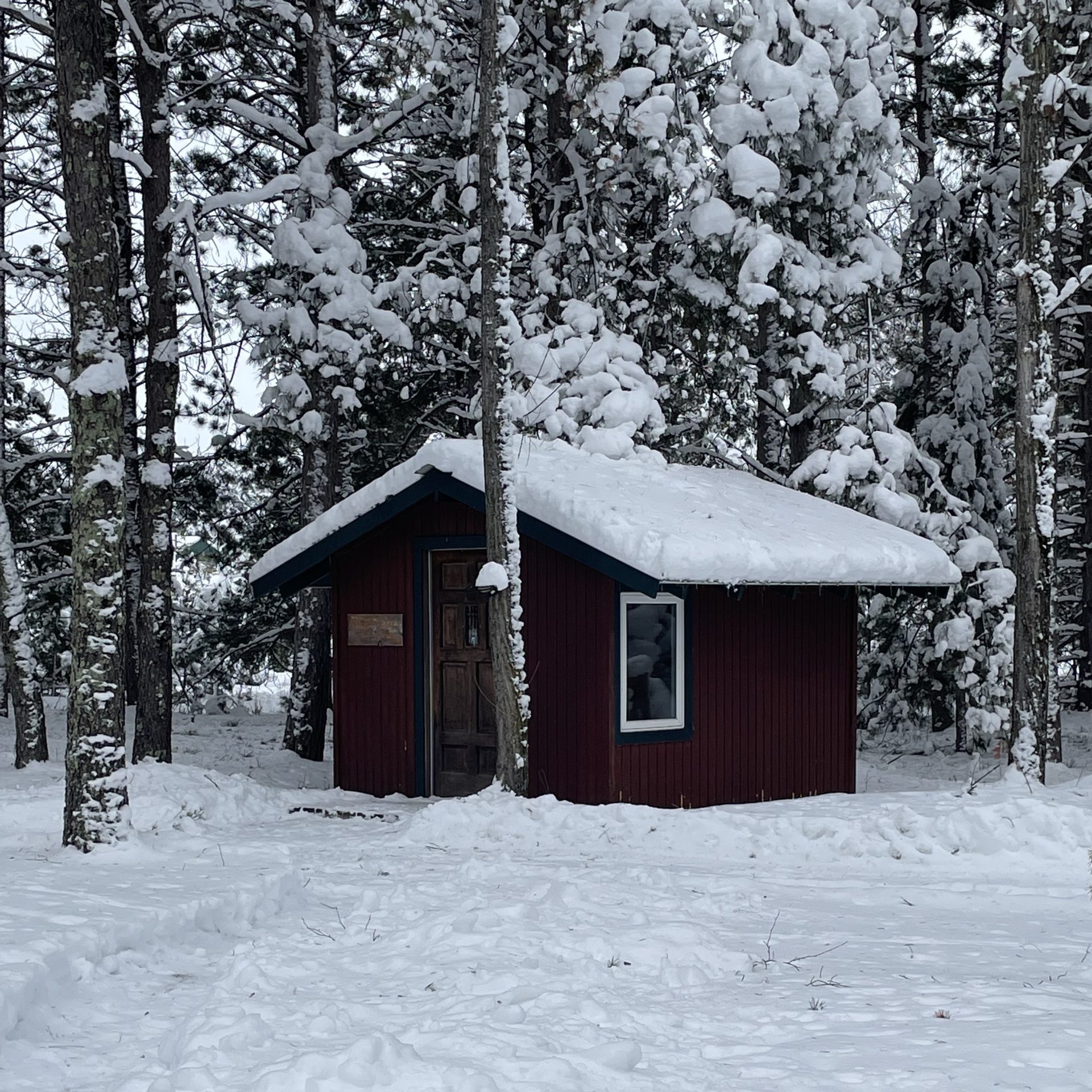 2023.09.05_Submitted Frog Tree Farm winter shed snow on roof closer photo A picture of a beautiful winter scene with a thick layer of white snow covering the ground and pine trees and complete with a small cabin with a snow-covered roof.