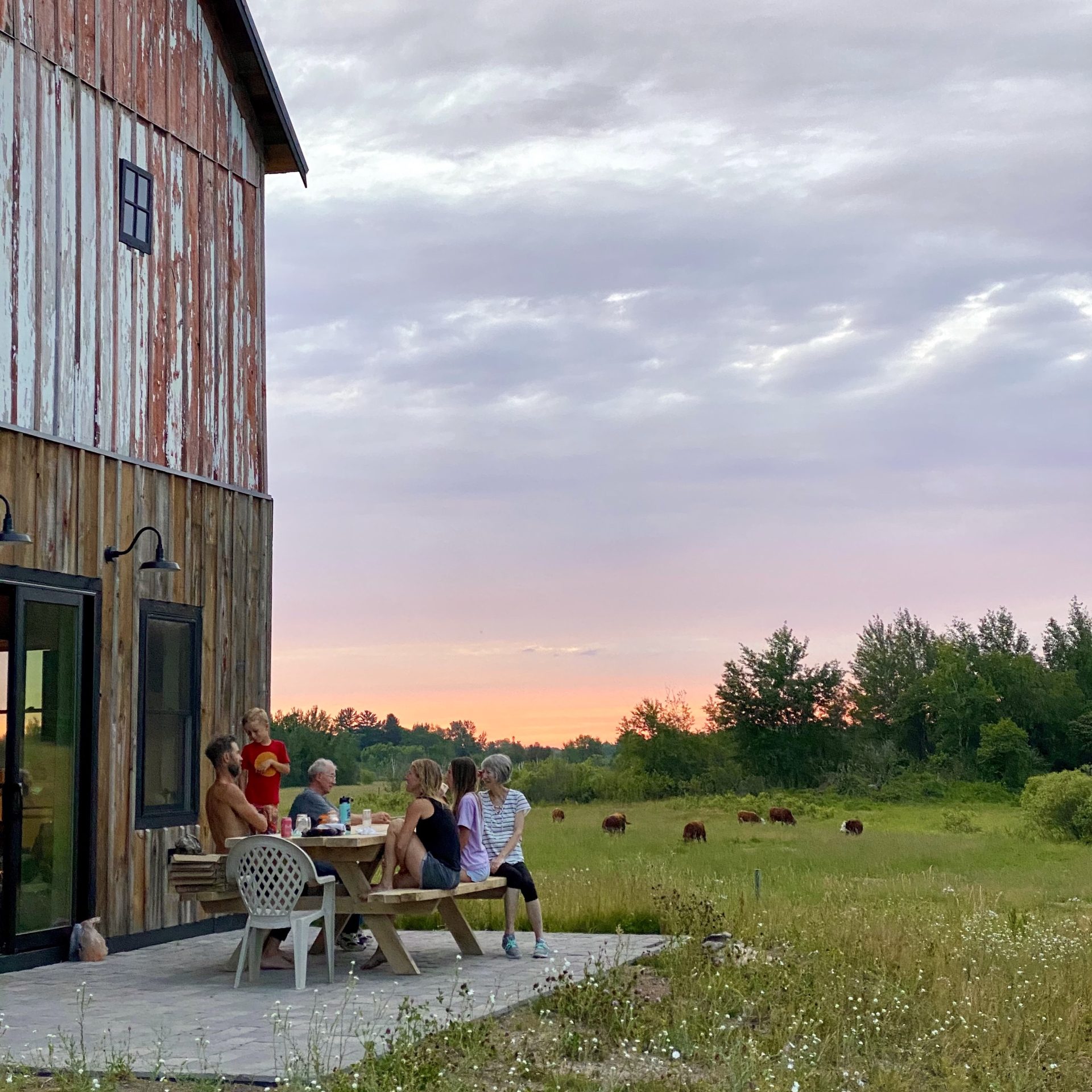 2024.12.03 Submitted Medicine Creek Farm barn people sitting outside sunset fields cows Picture of a group of people seated at a table in front of a barn. A field of grass and cows dotted with trees are in the background, while a glow of the setting sun hangs low in the sky.