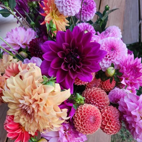 A picture of a bouquet made up mostly purple flowers with pops of pink and orange flowers and greenery.