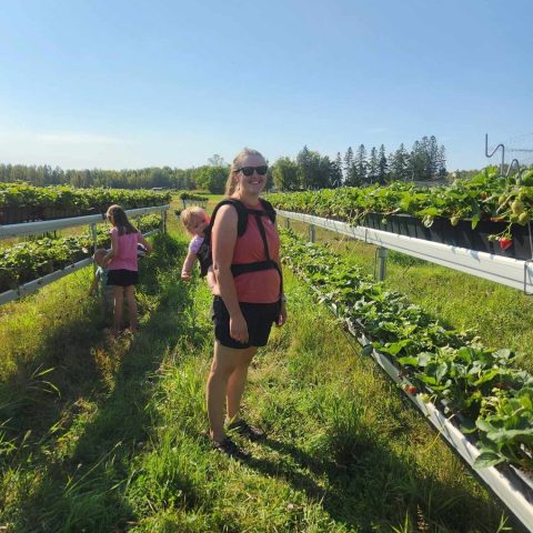 Picture of a person smiling in the middle of a row of strawberry plants with a baby in backpack on their back.