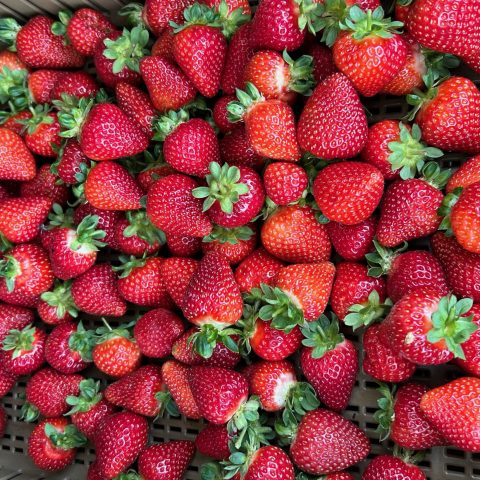 A picture of a pile of strawberries that completely fills the frame.