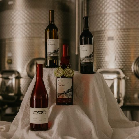 Bottles of Minnesota wine in front of winemaking equipment with awards hanging from bottle necks