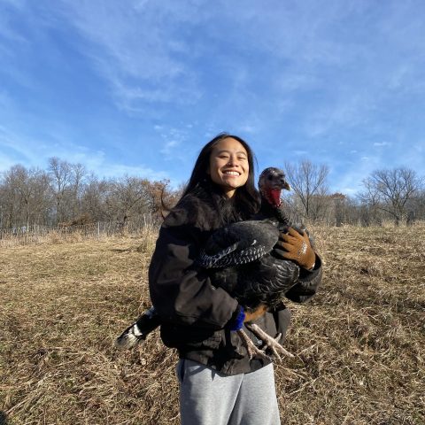 a woman holds a turkey in a harvested field