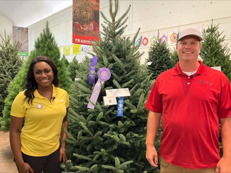 A man and woman stand in front of a pine tree. The pine tree has three ribbons.