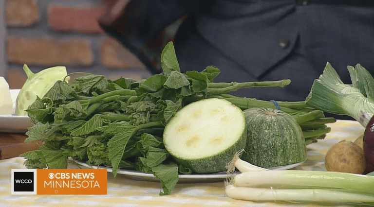 squash and squash vines on a counter