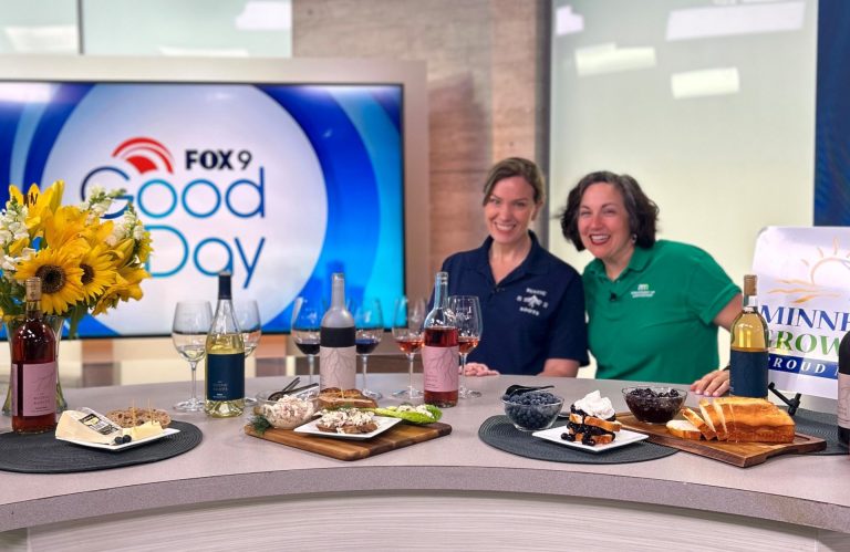 Rachel and Allison pose with three dishes prepared for the wine pairings. Many bottles of wine decorate the table. a Fox 9 Good Day sign is in the background