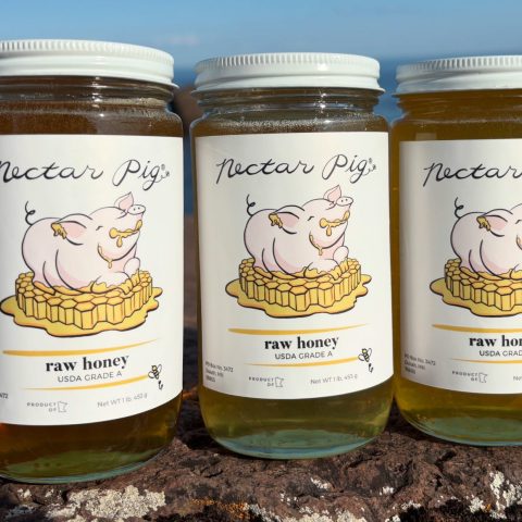 three jars of nectar pig honey on a rock infront of a lake