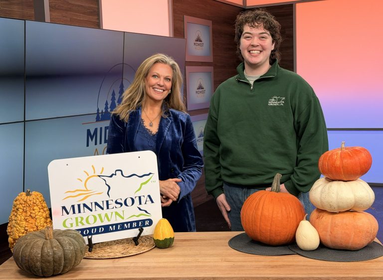 two people stand behind a table pull of pumpkins. the Minnesota Grown sign in displayed