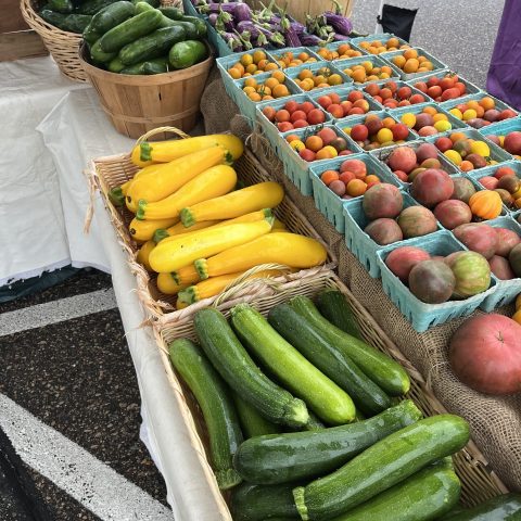 containers of zucchini, summer squash, tomatoes, and cucumbers line a market table