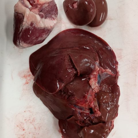 Organ meats from a lamb including heart, liver and kidneys.