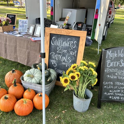 market stand with pumpkins and sunflowers, chalkboard signs describe prices and other offerings, like beefsticks, cuts of beef, and cuts of lamb