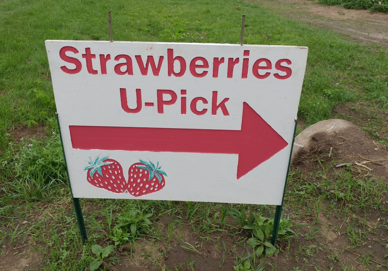 Strawberries U-Pick Sign