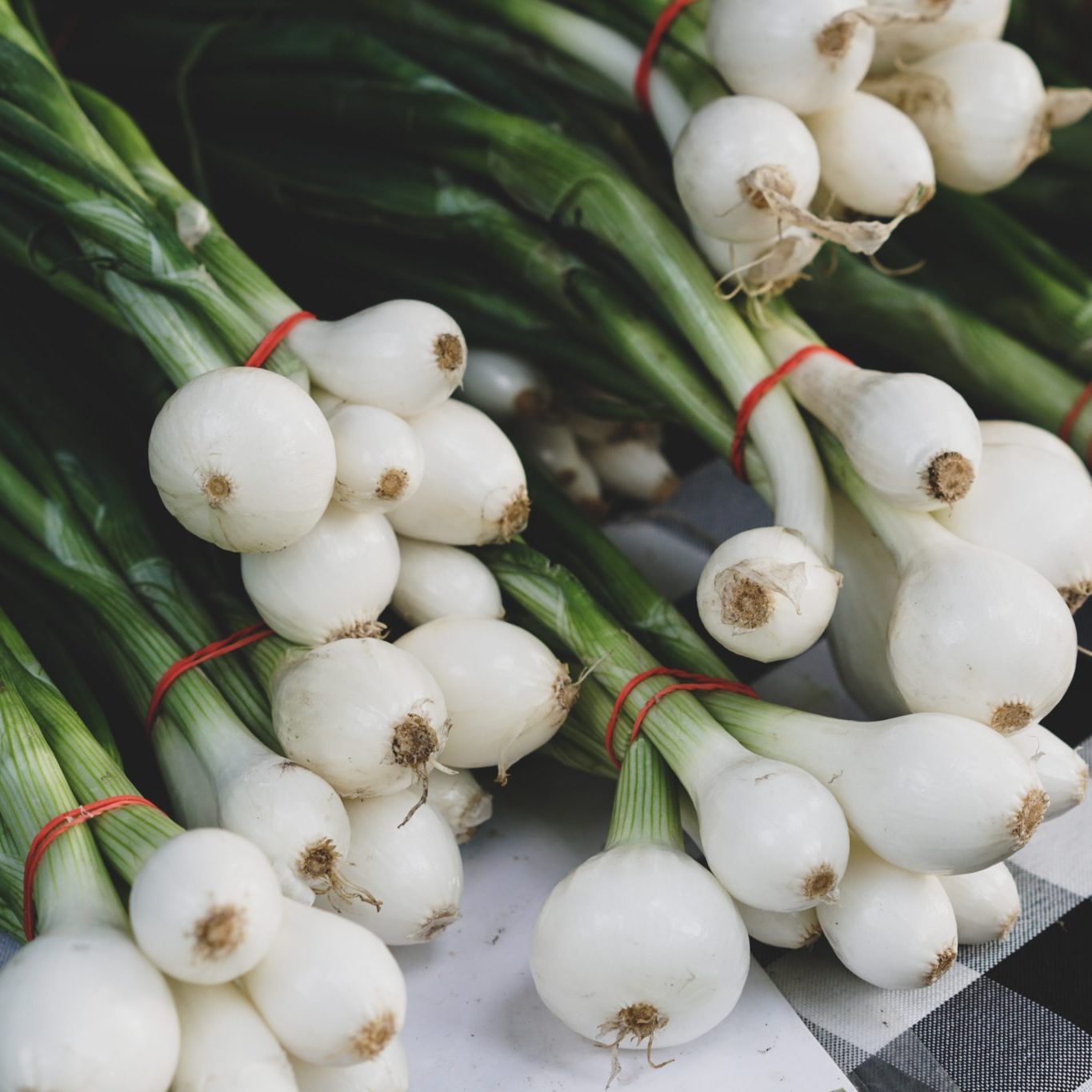 spring onions close up