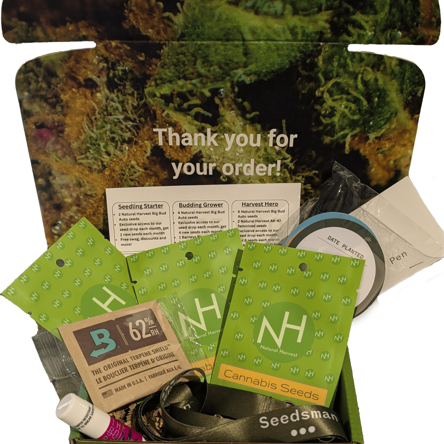 2024.11.13 Submitted NH Corp subscription box