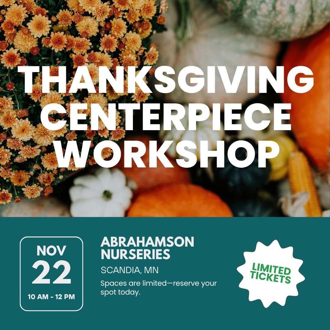 Thanksgiving Centerpiece Workshop november 22 10am-12pm tickets are limited abrahamson nurseries