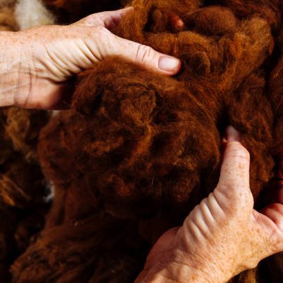 brown fiber/wool being held by a white womans hands